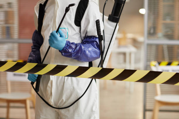 Professional Sewage Cleanup technician working in Bowie, TX
